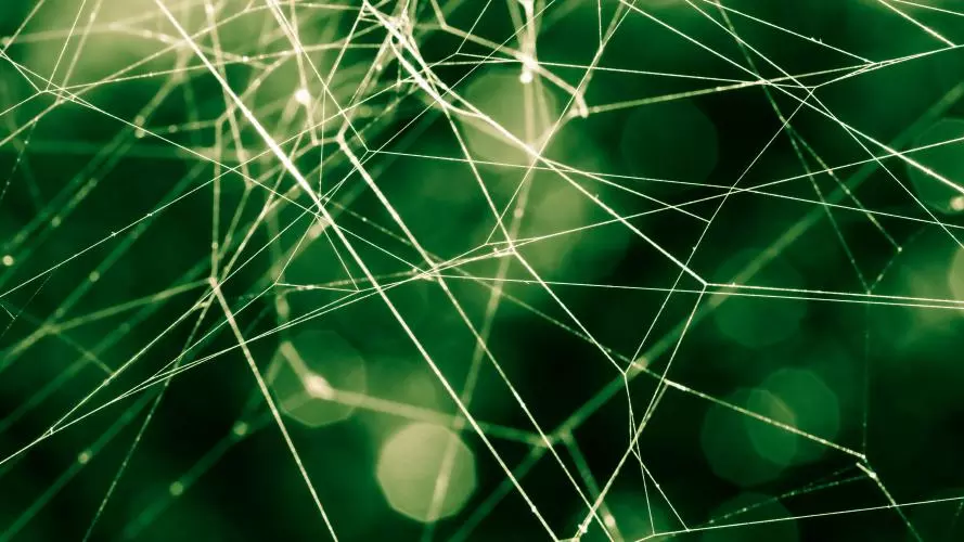 Close up of a spider web in green background