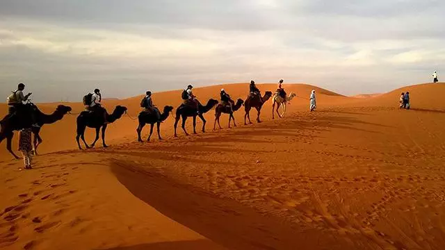 Caravan desert