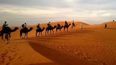 Caravan desert