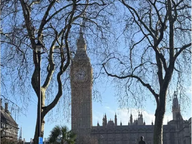 Photo of the Big Ben and Houses of Parliament taken from the Parliament Square Garden on a sunny day. 