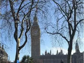 Photo of the Big Ben and Houses of Parliament taken from the Parliament Square Garden on a sunny day. 