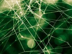 Close up of a spider web in green background