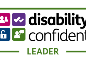 disability confident small