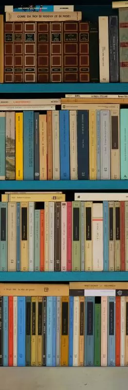 Bookcase full of books