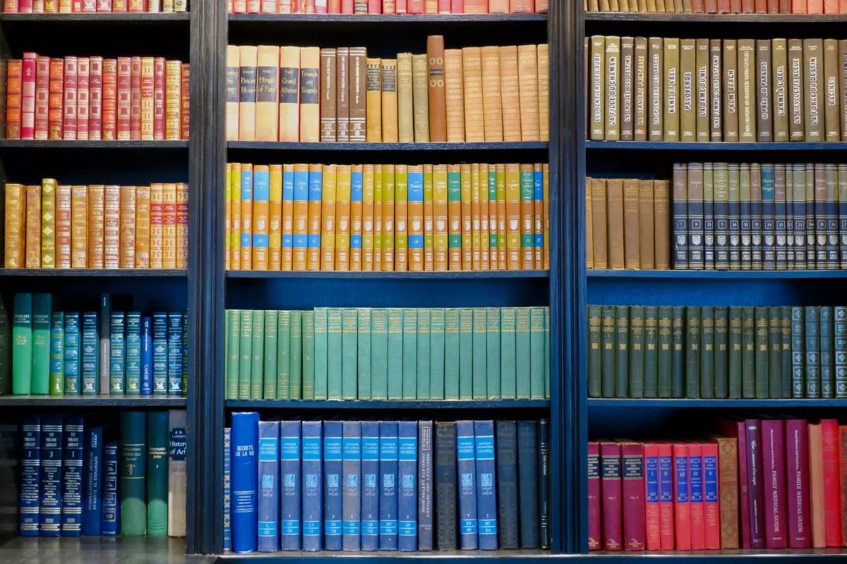 Bookcase full of books
